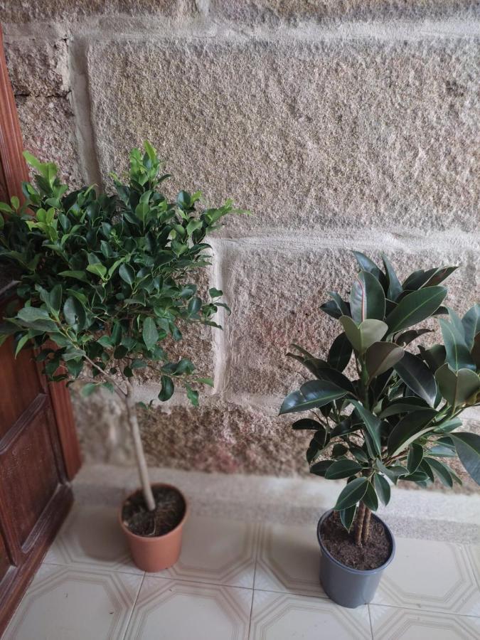 Celia Βίλα Redondela Εξωτερικό φωτογραφία